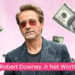 Robert Downey Jr net worth